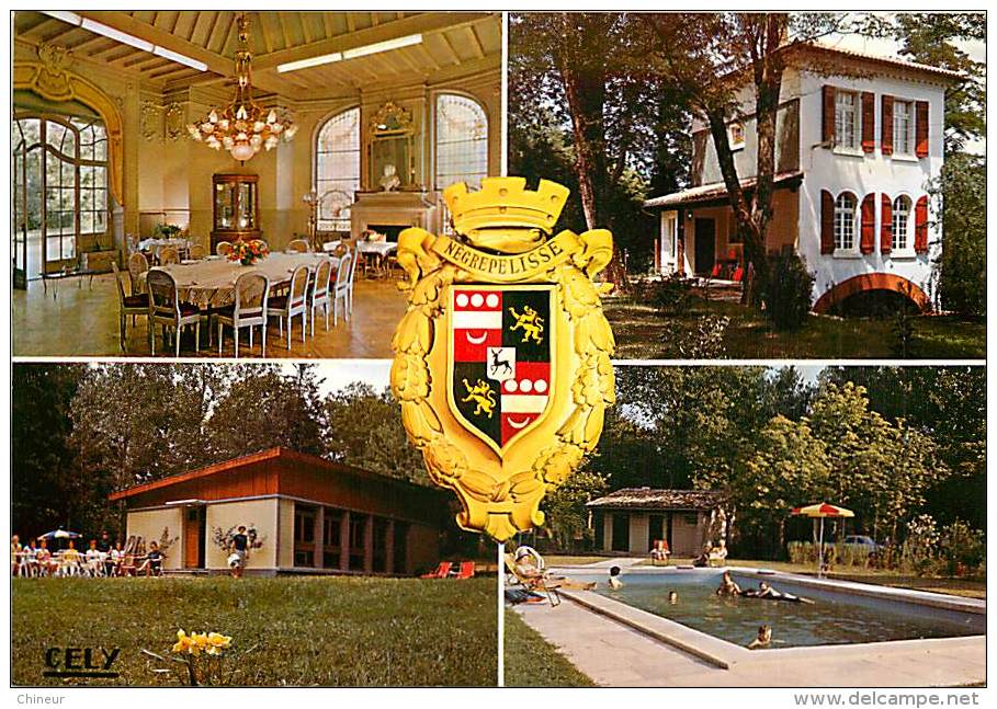 NEGREPELISSE  CARTE MULTIVUES