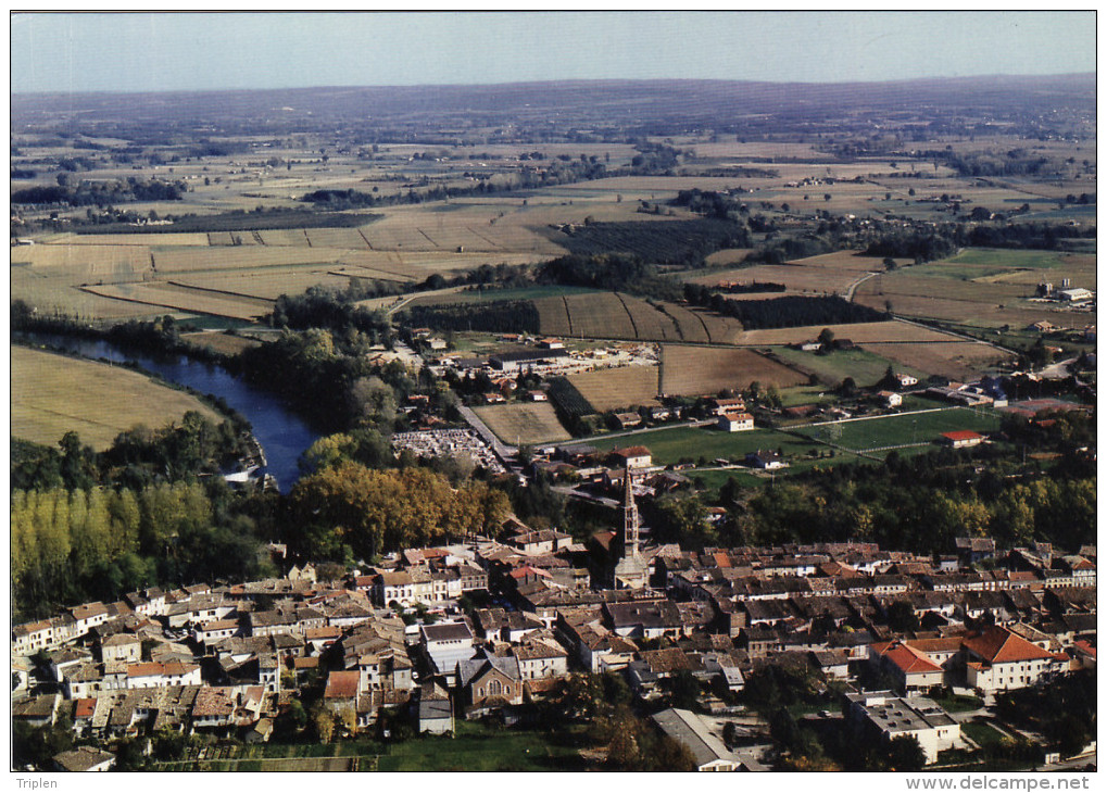 Negrepelisse - Vue générale aérienne