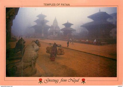 CPM Temples of Patan Nepal