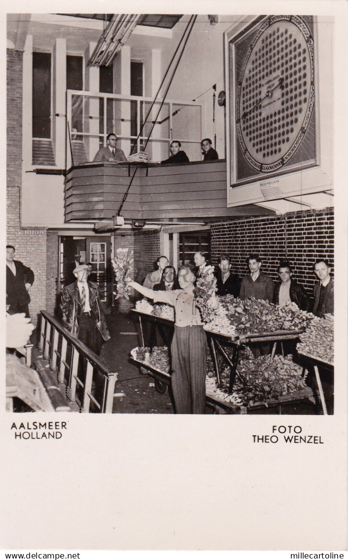 NETHERLANDS - Aalsmeer - Auction - Echte Foto