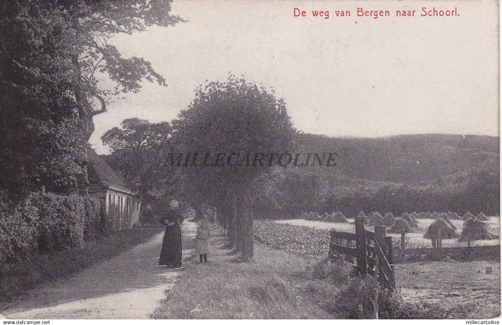 NETHERLANDS - De Weg van Bergen naar Schoorl