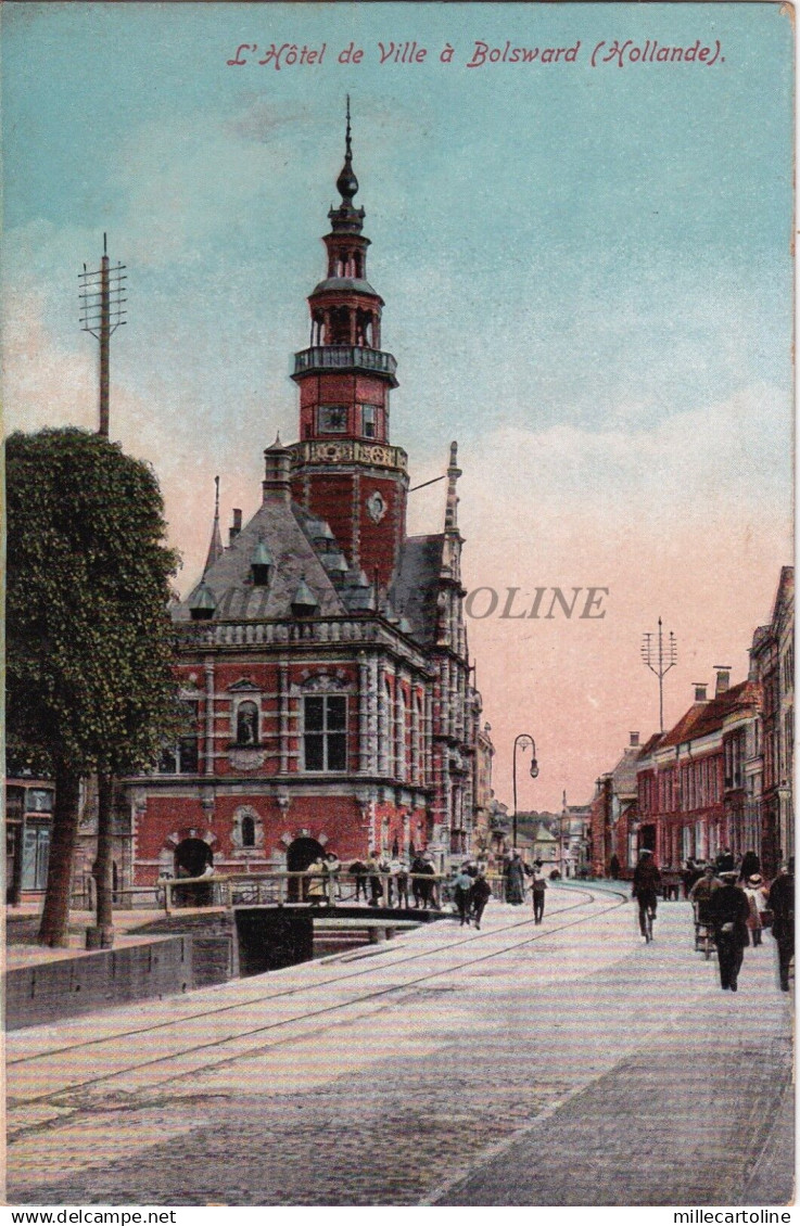 NETHERLANDS - L'Hotel de Ville à Bolsward - Cacao Chocolate Blooker