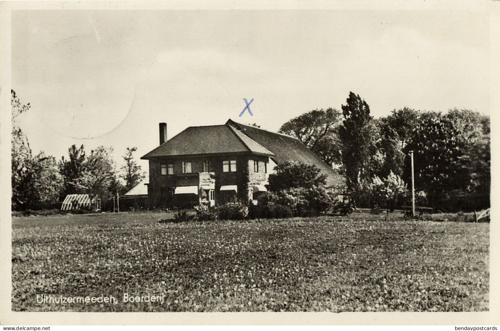 Netherlands, UITHUIZERMEEDEN, Boerderij, Farm House (1960s) Postcard