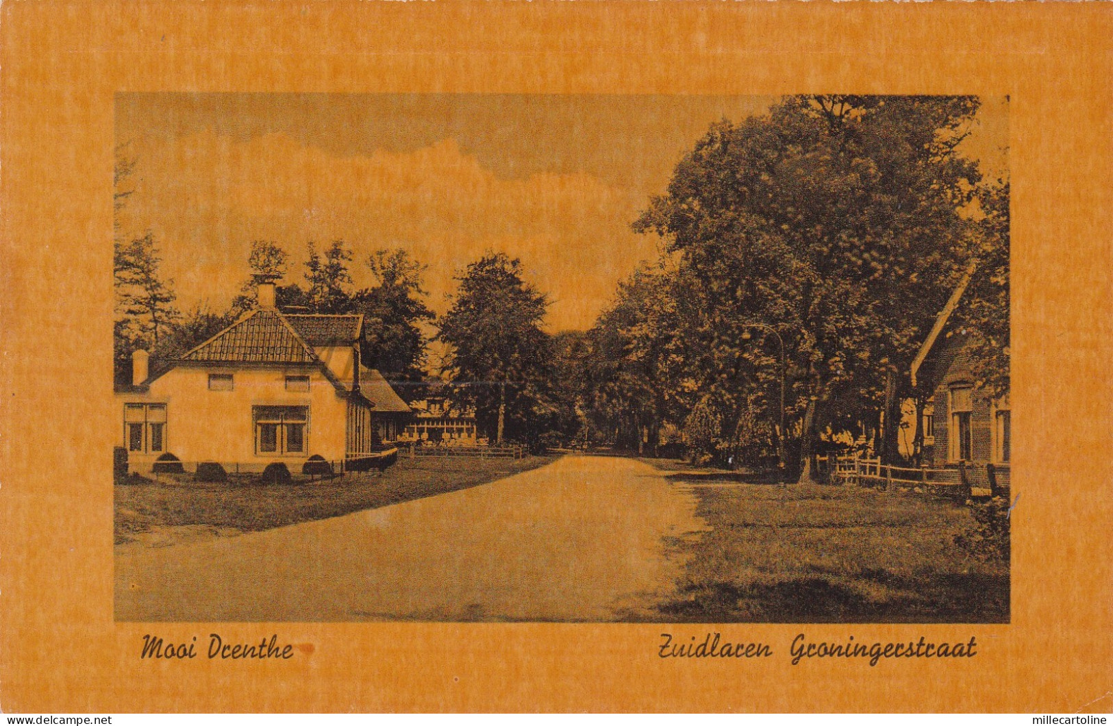 NETHERLANDS - Zuidlaren, Groningerstraat, Postcard