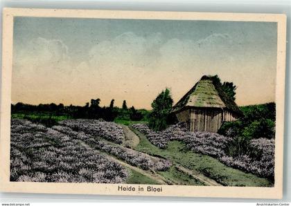 39576618 - Apeldoorn