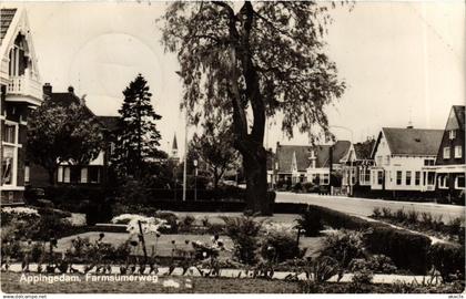 CPA APPINGEDAM Farmsumerweg NETHERLANDS (706020)