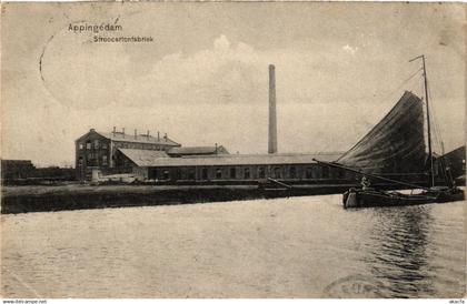 CPA APPINGEDAM Stroocartonfabriek NETHERLANDS (706256)
