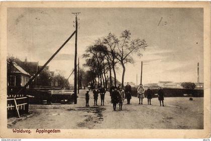 CPA APPINGEDAM Woldweg NETHERLANDS (706252)