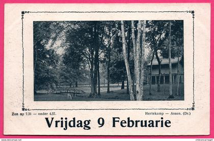 Assen - Hertekamp - Pont - Animaux - ** Apparemment carte contrecollée - Fabrication Maison **