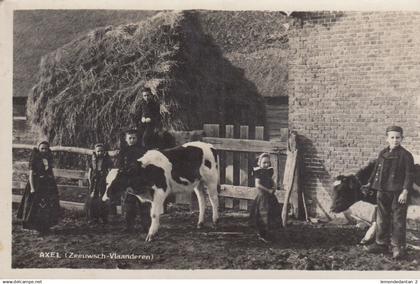 Axel (Zeeuwsch Vlaanderen)