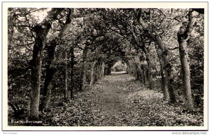 BAARN - Berceau