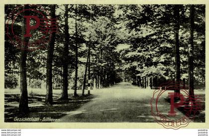 GEZICHTSLAAN BILTHOVEN