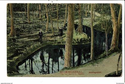 CPA Carte Postale -Pays Bas-Bloemendaal- Boschgezicht -1911-VM24230br