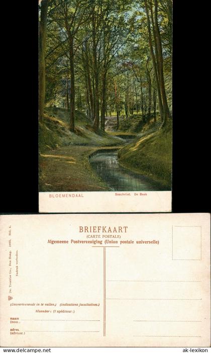 Postkaart Bloemendaal Boschvliet. De Beek 1905