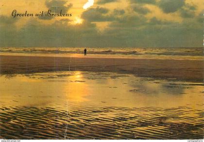 Netherlands Breskens littoral sunset view