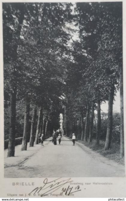 Brielle (ZH) Straatweg naar Hellevoetsluis ca 1900