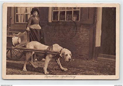 Nederland - BUNSCHOTEN (UT) Spakenburg - Hondenkar - Uitg. Weenenk & Snel