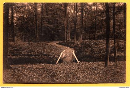 Bussum - Bruggetje in Bantam - Uitg. NAUTA - 1927