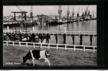 AK Delfzijl, Haven