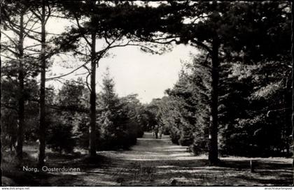 CPA Norg Drenthe, Oosterduinen