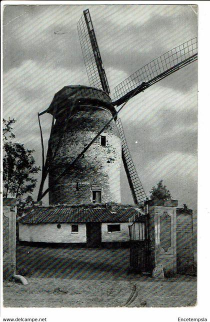 CPM-carte postale Pays Bas-Gronsveld Molen 1959 VM23152br