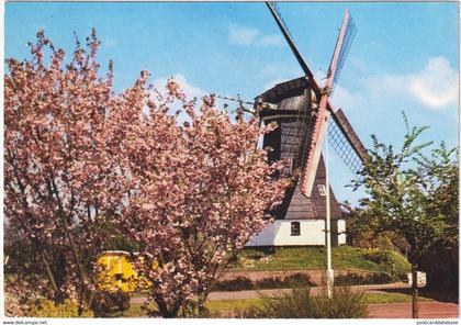 Groeten uit Emmen