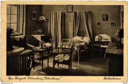 CPA AK EPE Haagsch Koloniehuis Pelzerkamp NETHERLANDS (604734)