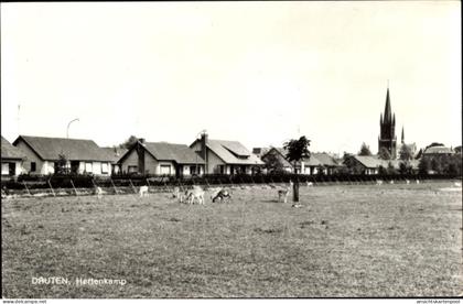 CPA Druten Gelderland Niederlande, Hertenkamp