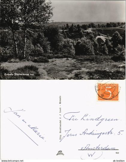 Postkaart Ermelo (Gelderland) Ermelo Staverense hei, Landschaft 1960