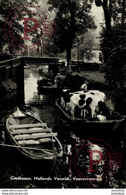 Giethoorn Hollands Venetië Veevervoer  OVERIJSSEL GIETHOORN  HOLLAND HOLANDA NETHERLANDS