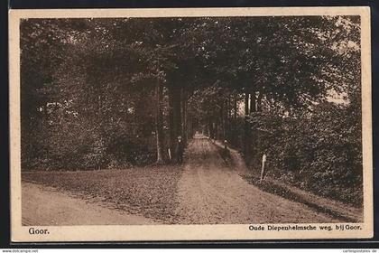 AK Goor, Oude Diepenheimsche weg bij Goor