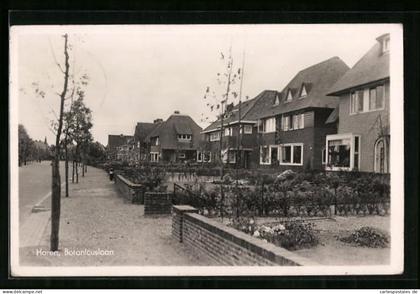 AK Haren, Botanicuslaan