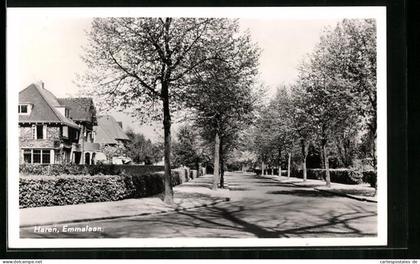 AK Haren, Emmalaan