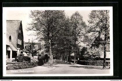 AK Haren, Terborgsteeg