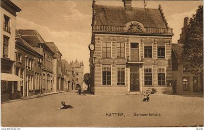 CPA HATTEM Gemeentehuis NETHERLANDS (713421)