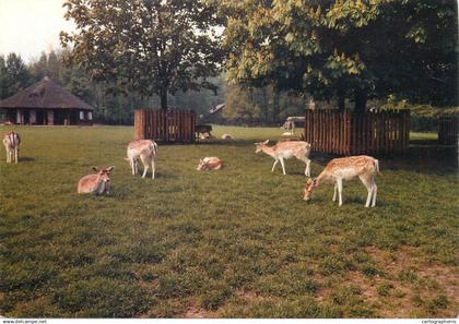 Netherlands Helmond Hertenkamp en Vogelpark