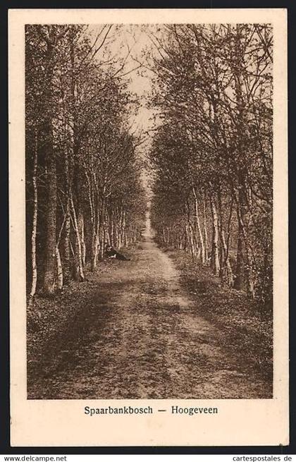 AK Hoogeveen, Spaarbankbosch