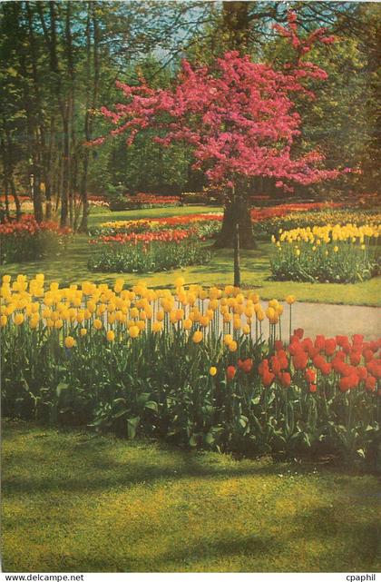 CPM Keukenhof Lisse Holland