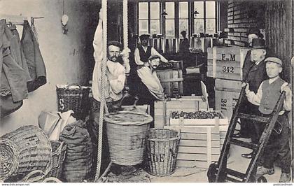 Nederland - LISSE - Fred de Meulder Bloembollen