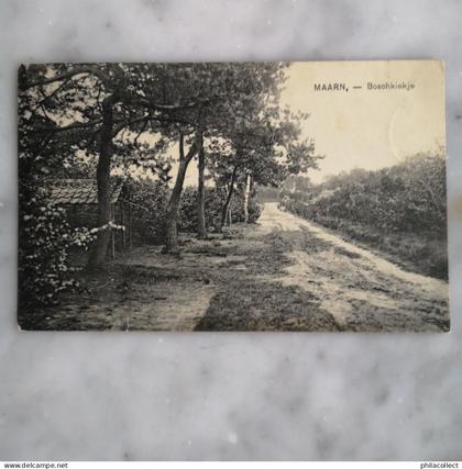 Maarn (Utr.) Boschkiekje 1925