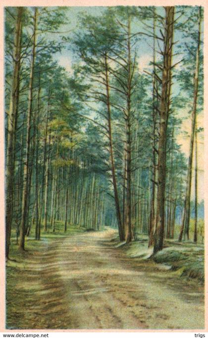 Maarn - Vacantieoord "De Maarnse Berg"