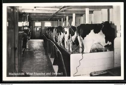 AK Medemblik, West-Friesche stal, winter