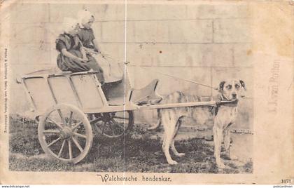 Nederland - MIDDELBURG - Walchersche hondenkaar