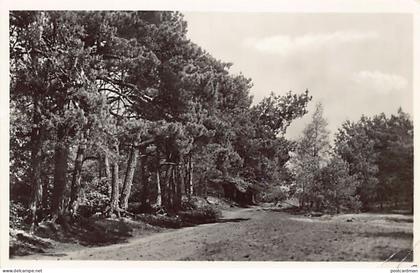 Nederland - NIJVERDAL - Holter fietspad - Uitg. Westera