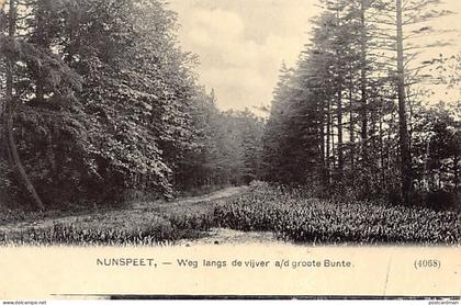 Nederland - NUNSPEET - Weg langs de vijver a. d. groote Bunte