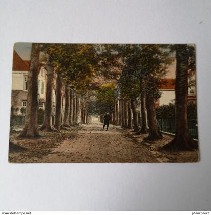 Oosterbeek // Beukenlaan 193?