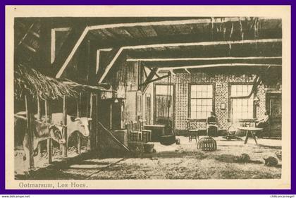 OOTMARSUM - Los Hoes - Etable - Vaches - Ferme - Uitgave J. ROLINK - 1922