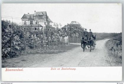 2061 Bloemendaal - 50509467