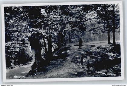 50529141 - Wageningen