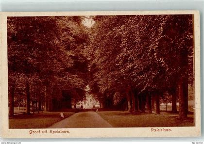 7311 Apeldoorn - Paleislaan - 11036170